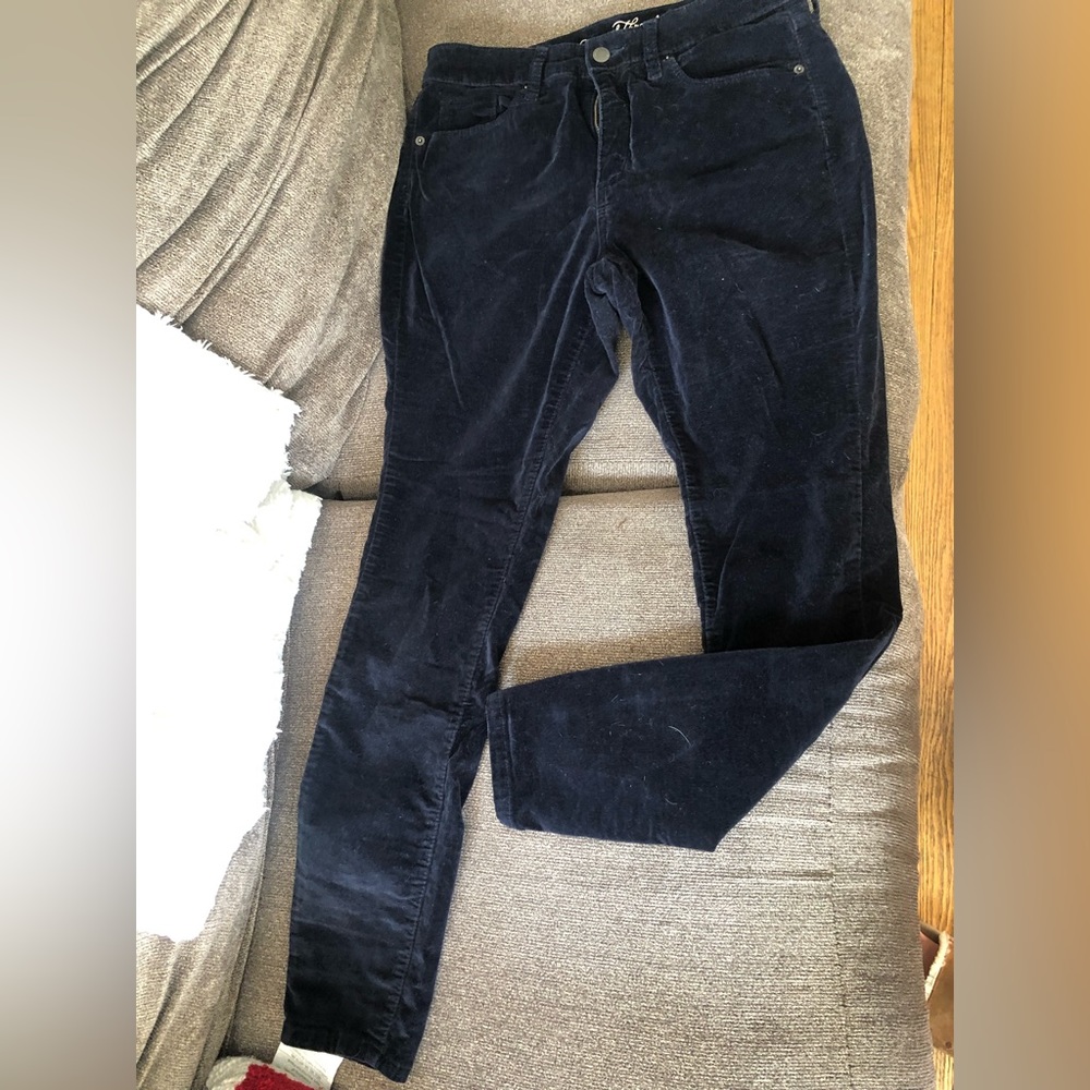 Suede Universal Thread Trouser Navy blue